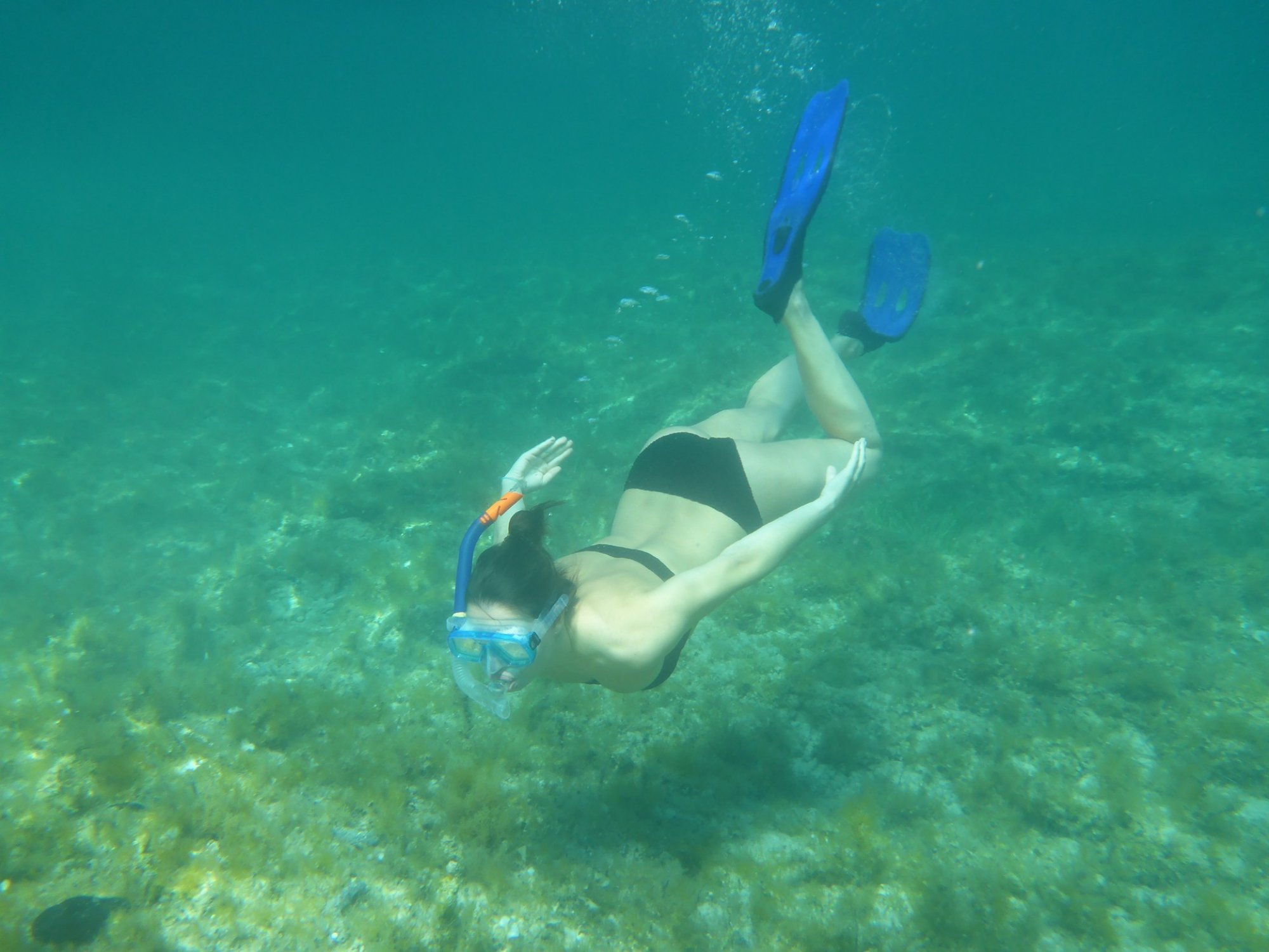 Guide for Snorkelers in Greece - What to look out for